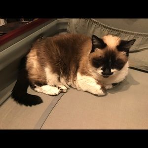 Meet your Posher, Terry